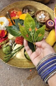 बिल्वपत्र का महत्व